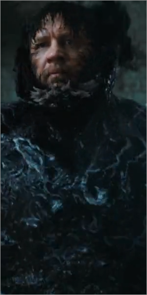 Venom: The Last Dance 300x600 static frame